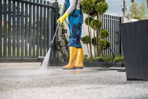 Best Local Pressure Washing Services  in Wilton, IA