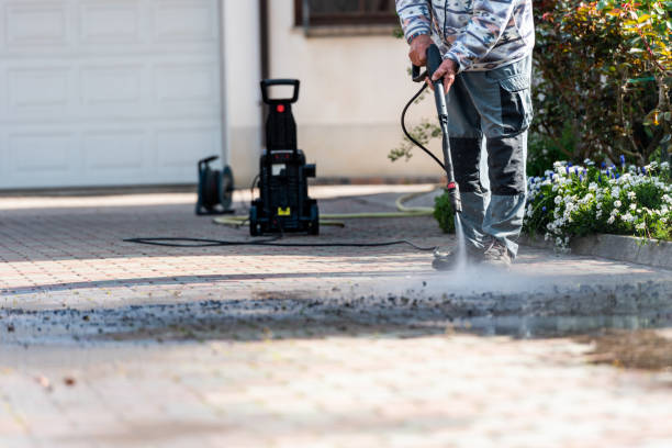 Best Roof Pressure Washing  in Wilton, IA