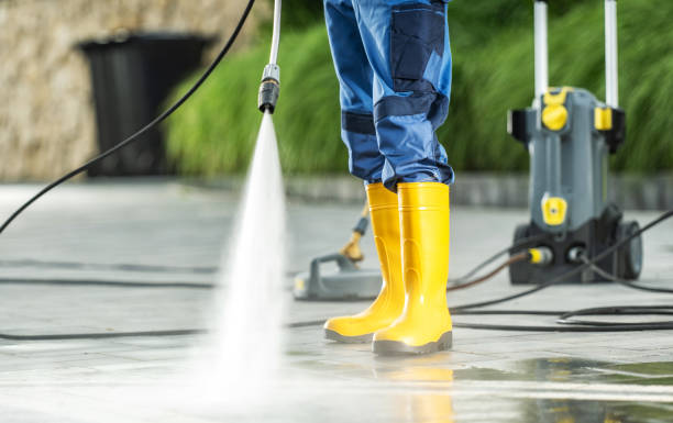Best Best Pressure Washing Companies  in Wilton, IA