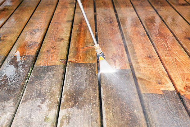 Best Affordable Pressure Washing  in Wilton, IA