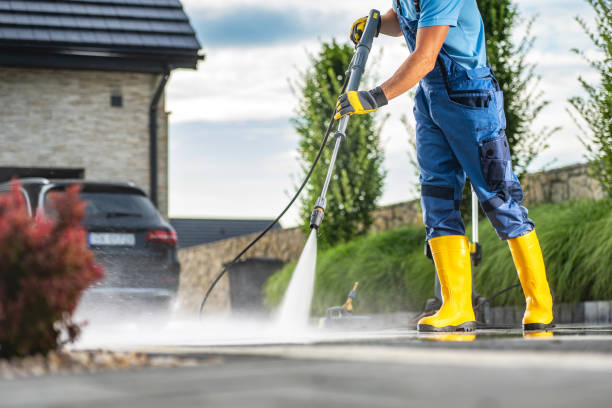 Best Exterior Home Cleaning  in Wilton, IA