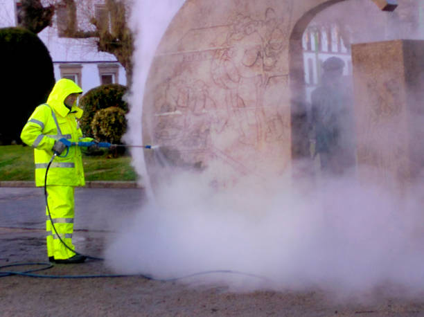 Best Residential Pressure Washing Services  in Wilton, IA