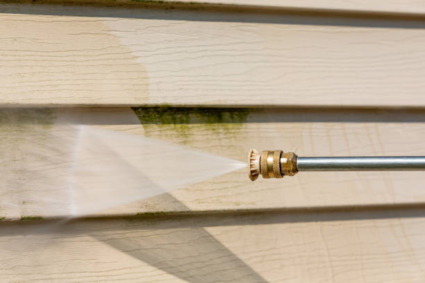 Best Residential Pressure Washing Services  in Wilton, IA
